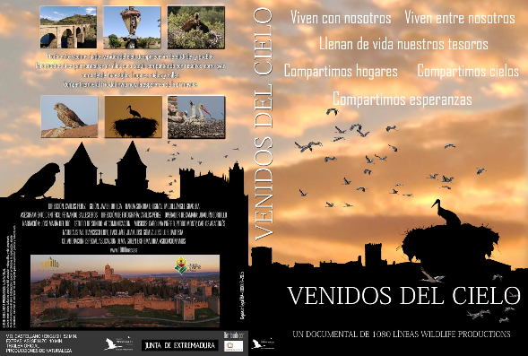 Cartel de la película documental 'Venidos del cielo'. Cartel de la película documental 'Venidos del cielo'