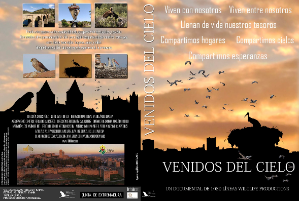 Cartel de la película documental 'Venidos del cielo'