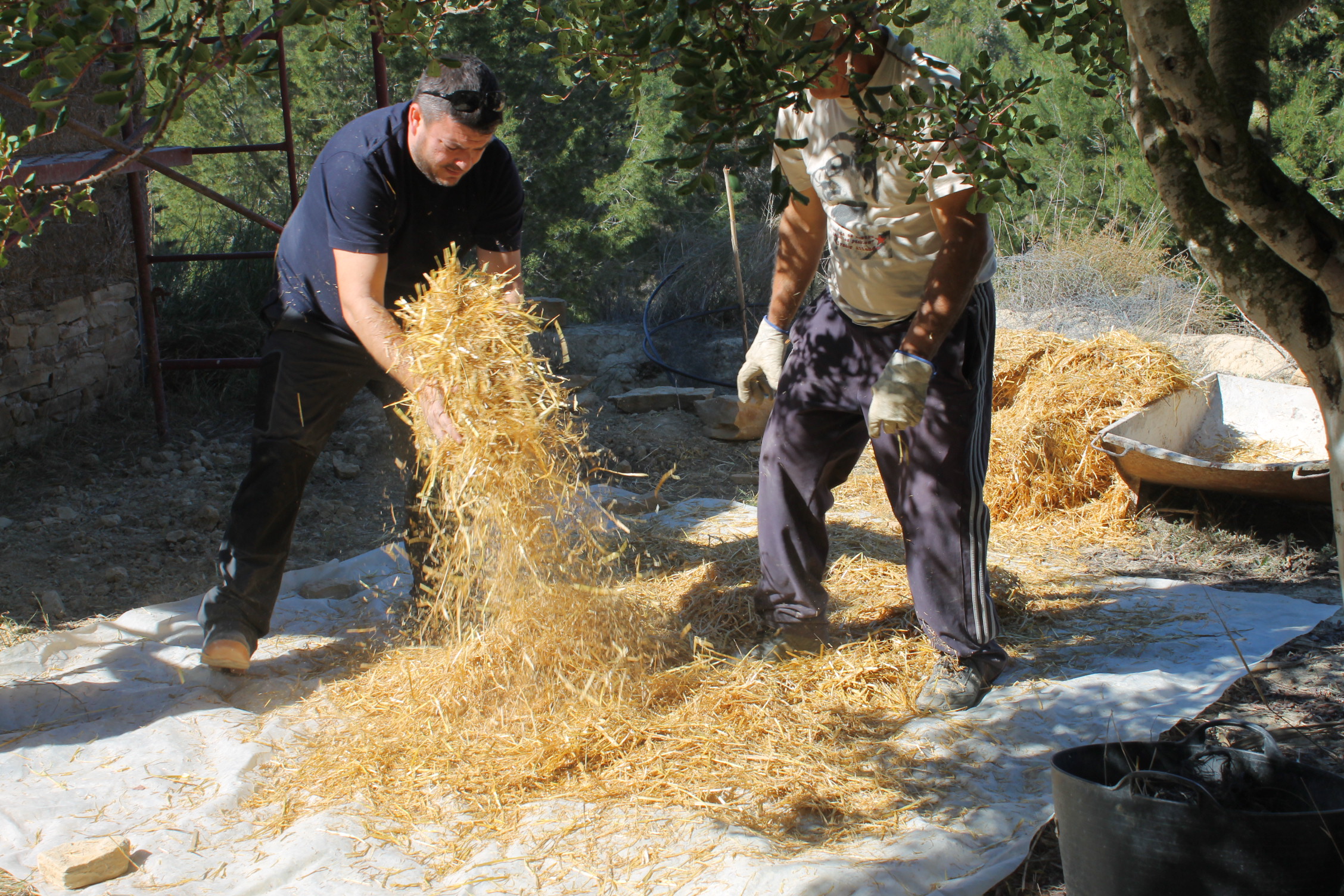 Paja para construir una casa con el Aula de Naturaleza y Sostenibilidad Fuente de Columbares Paja para construir una casa con el Aula de Naturaleza y Sostenibilidad Fuente de Columbares