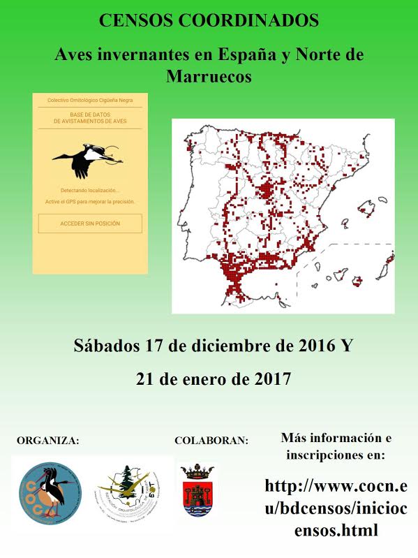 Censo coordinado de aves invernantes en España y Norte de Marruecos , con COCN
