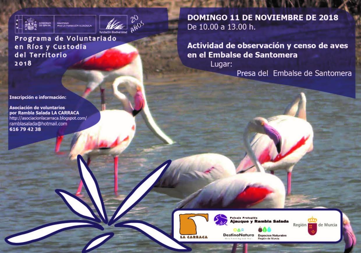 Censo de aves en el embalse de Santomera, con La Carraca. Censo de aves en el embalse de Santomera, con La Carraca