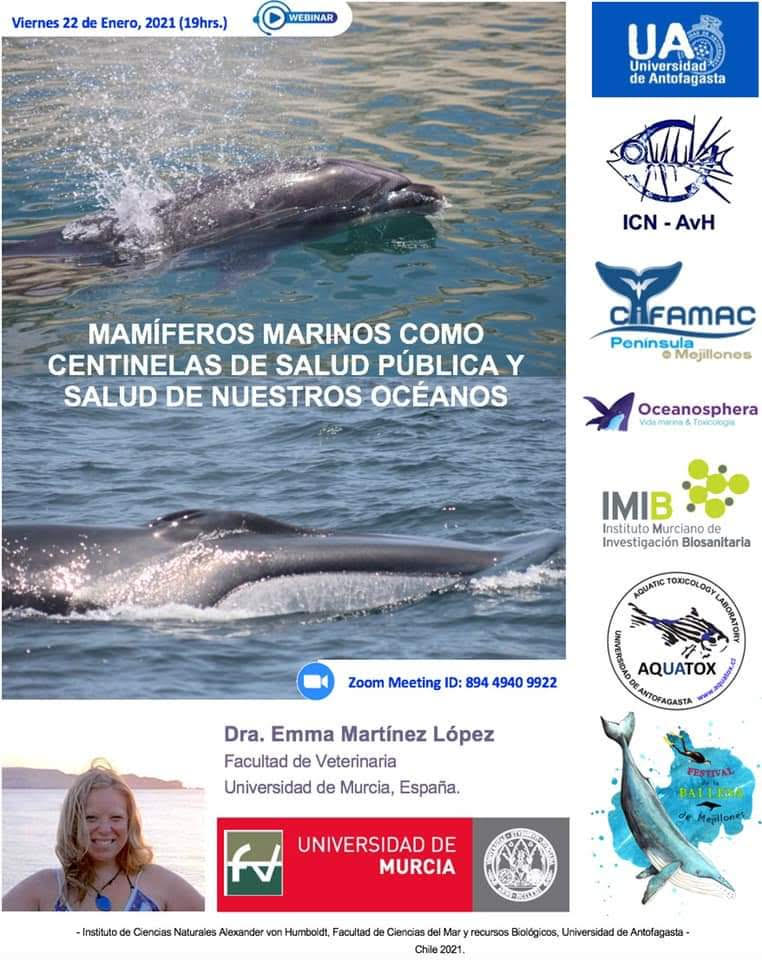 Charla sobre mamíferos marinos como centinelas del mar, con la UMU. Charla sobre mamíferos marinos como centinelas del mar, con la UMU
