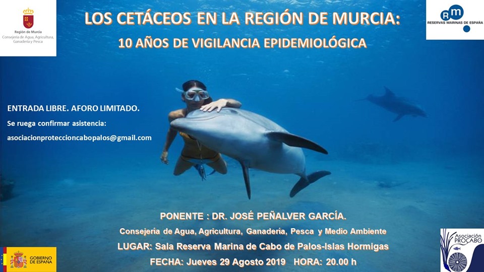Charla 'Cetáceos en la Región de Murcia', con Procabo