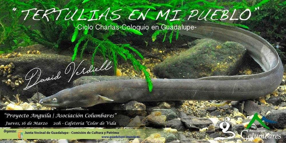 Charla sobre el Proyecto Anguila, con al Junta Vecinal de Guadalupe