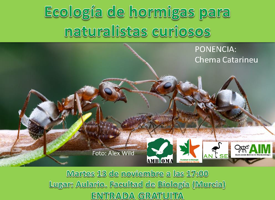 Ecología de hormigas para naturalistas curiosos, con AMBIOMA