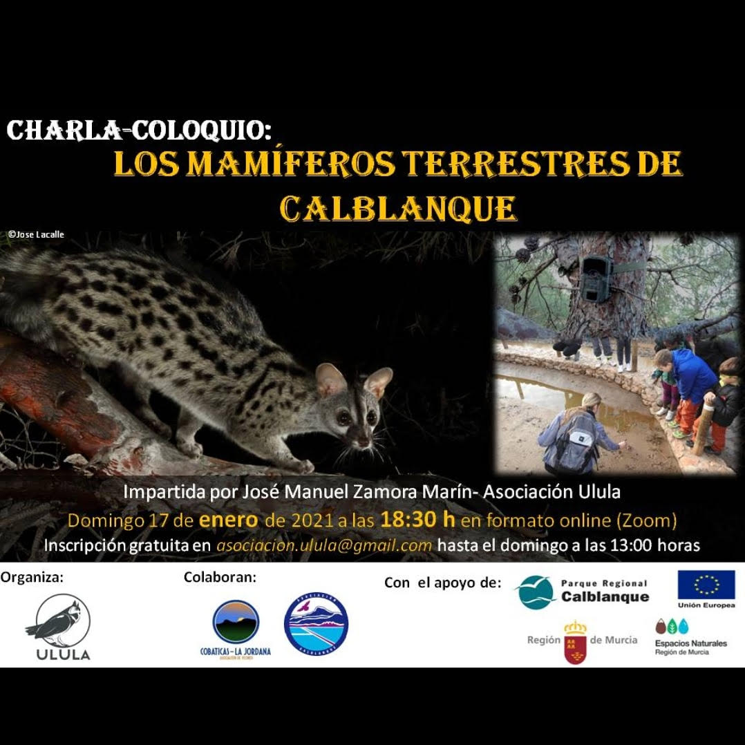 Charla on line sobre mamíferos de Calblanque, con ULULA