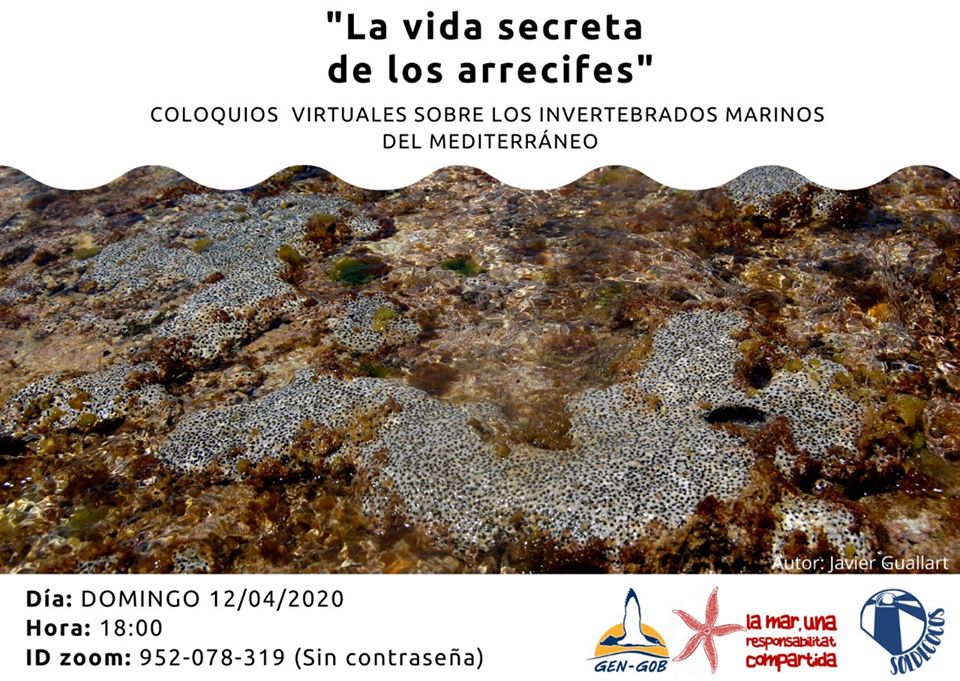 Chalra on line sobre arrecifes, con GEN-GOB y Soldecocos