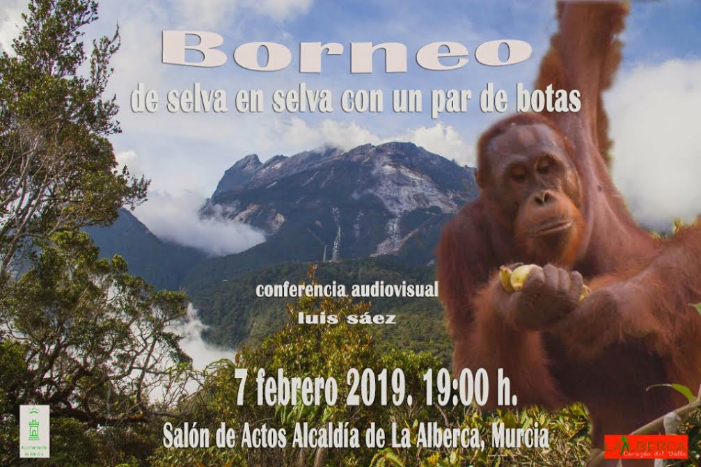Charla sobre las selvas de Borneo, con el Ayto. de Murcia