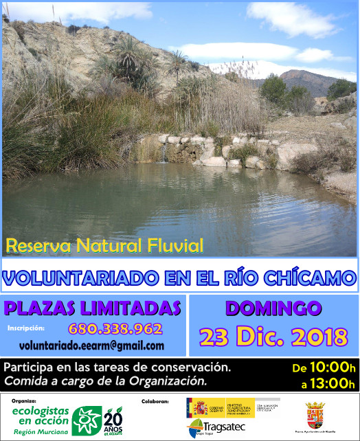 Voluntariado en el río Chícamo, con EEA Región Murciana