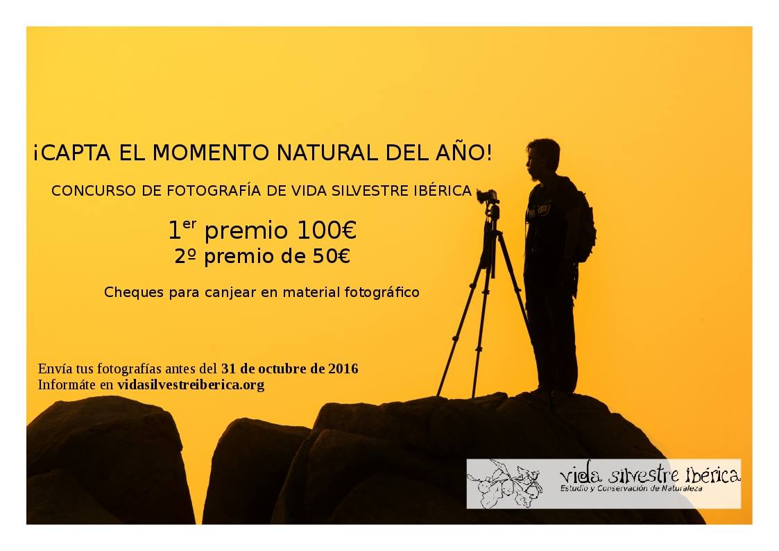 Concurso de fotografía de naturaleza, con Vida Silvestre Ibérica.
