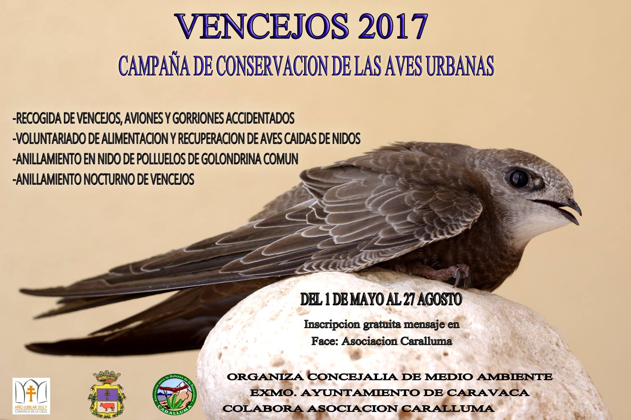 Campaña de Conservación de las Aves Urbanas, con Caralluma