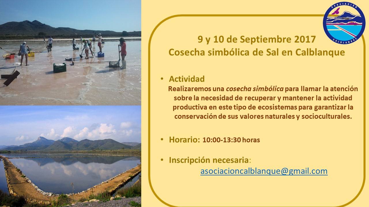 Cosecha simbólica de sal, con Asociación Calblanque. Cosecha simbólica de sal, con Asociación Calblanque