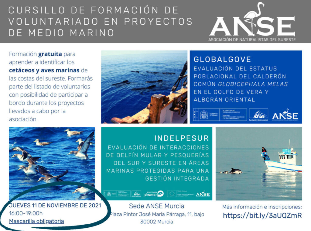 Cursillo de formación de voluntariado en proyectos de medio marino, de ANSE