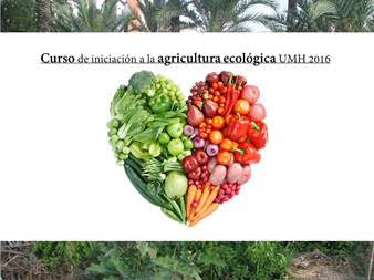  Curso de Agricultura Ecológica, con la Oficina Ambiental de la UMH.