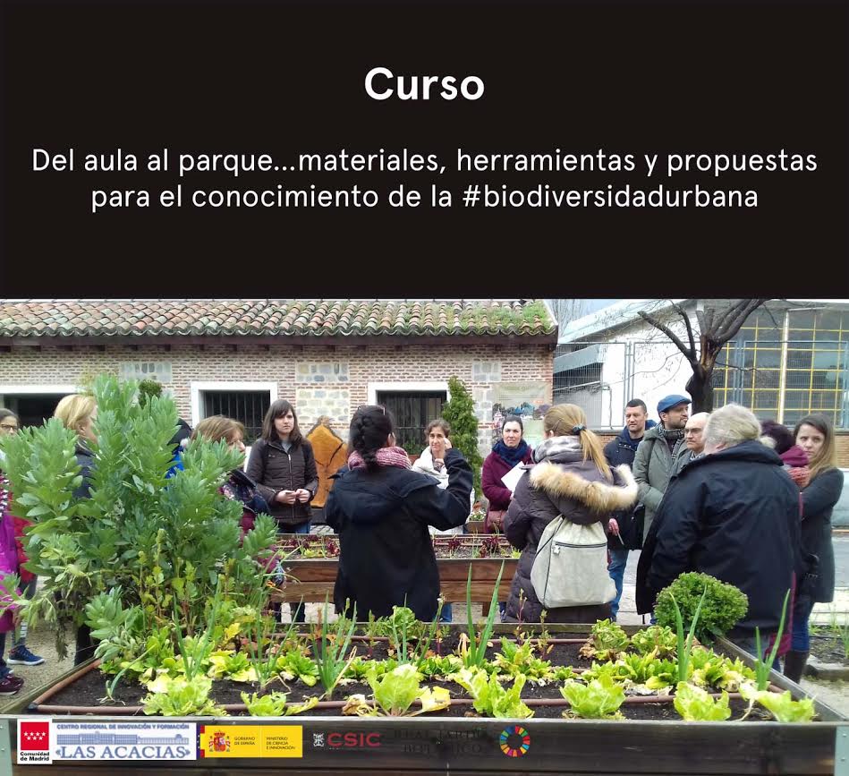 Curso online 'Del aula al parque', con el RJB de Madrid - CSIC