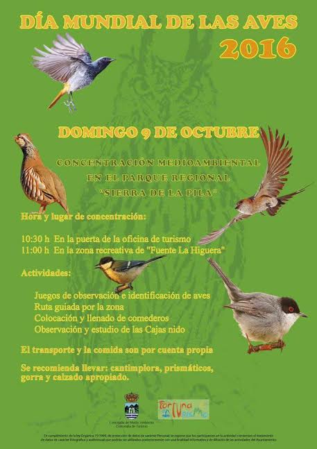 Día de las Aves en la Sierra de la Pila, con el Ayto. de Fortuna.