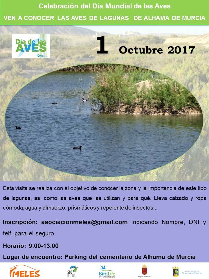 Día de las Aves en las lagunas de Alhama de Murcia, con Meles