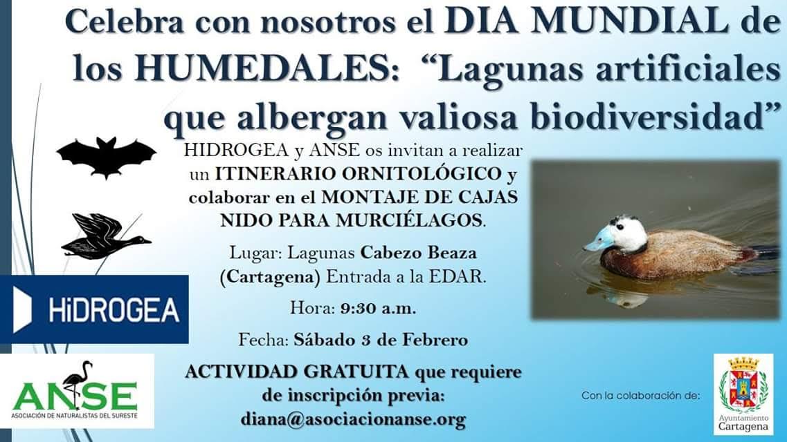 Itinerario ornitológico + Cajas para murciélagos, con Hidrogea y ANSE. Itinerario ornitológico + Cajas para murciélagos, con Hidrogea y ANSE