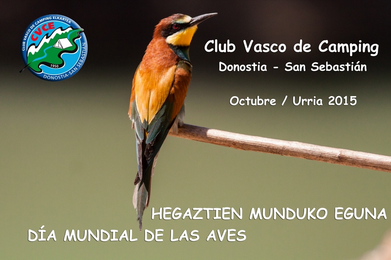 Jornadas de Ornitología con el Club Vasco de Camping