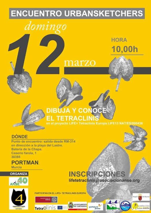 Dibuja y conoce el Tetraclinis, con el Life ANSE. Dibuja y conoce el Tetraclinis, con ANSE