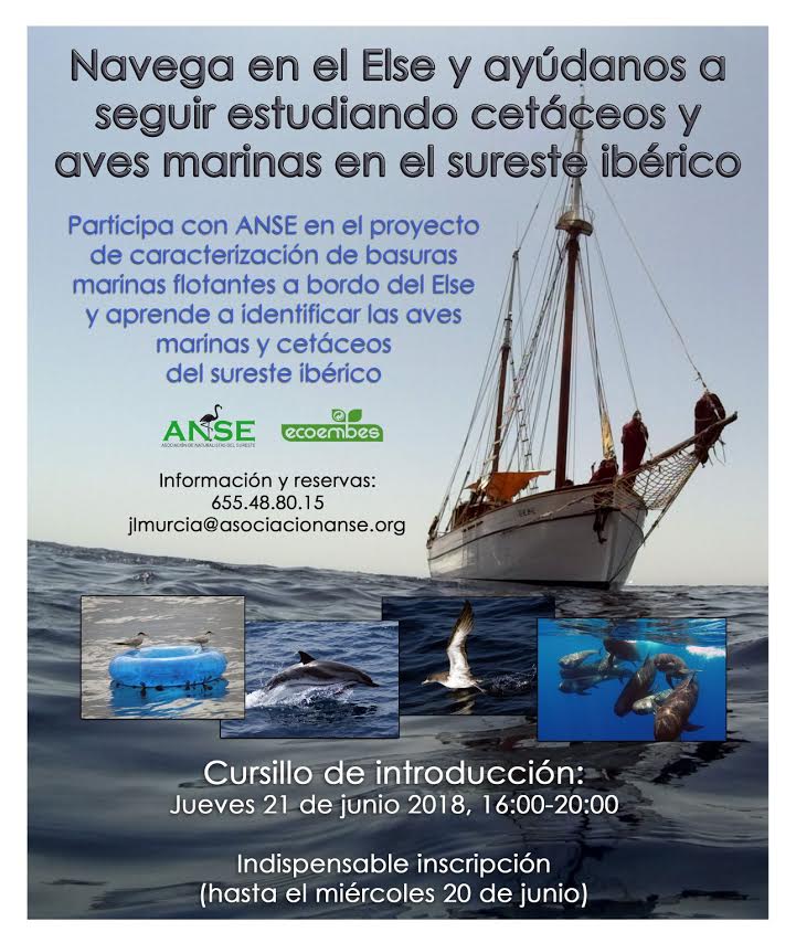 Voluntariado en en ELSE: cetáceos , aves y basuras marinas, con ANSE