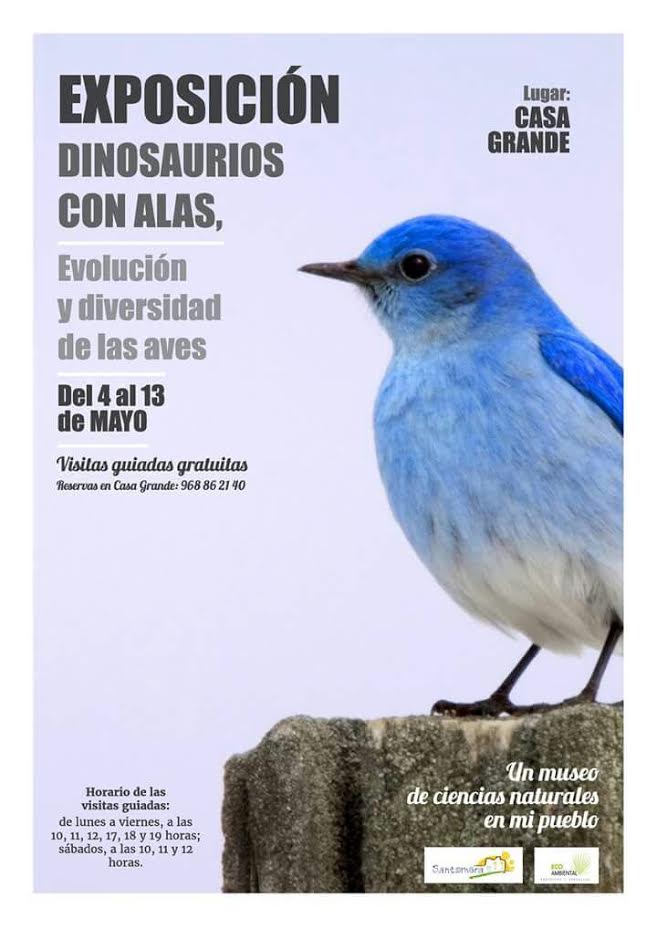 Expo sobre aves: 'Dinosaurios con alas', con Ecoambiental