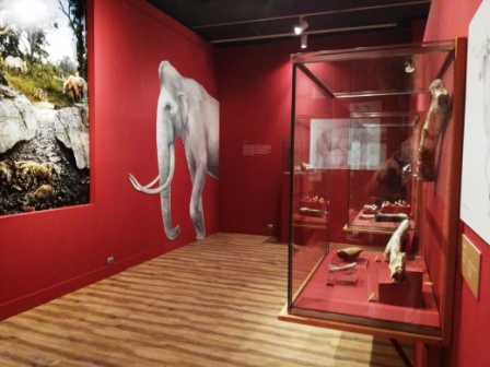 Exposición sobre la Cueva Victoria, Museo Arqueológico de Murcia