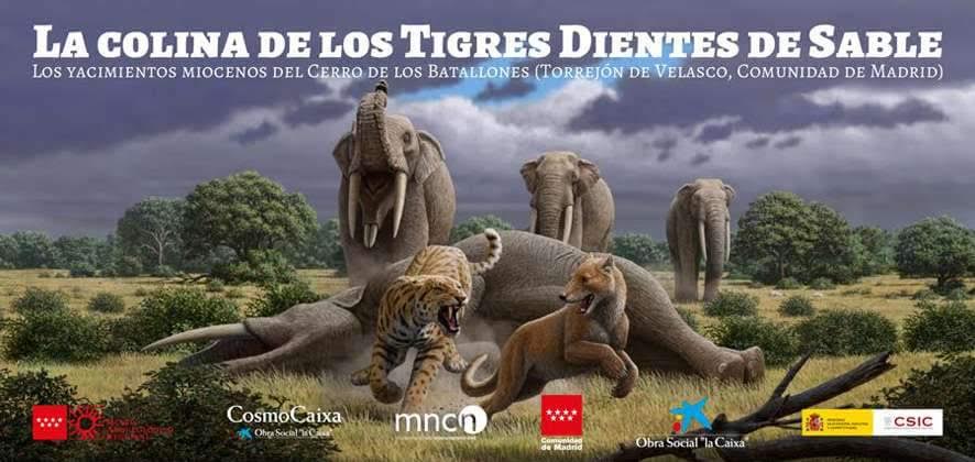 'La colina de los tigres dientes de sable', con el Museo Arqueológico Regional de Madrid