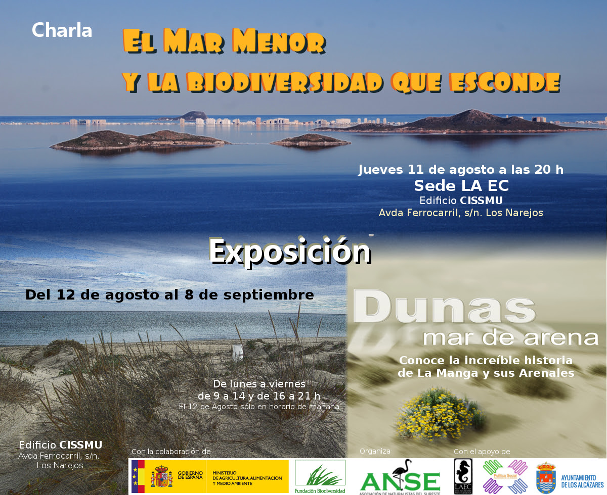 Expo 'Dunas, un mar de arena', con ANSE