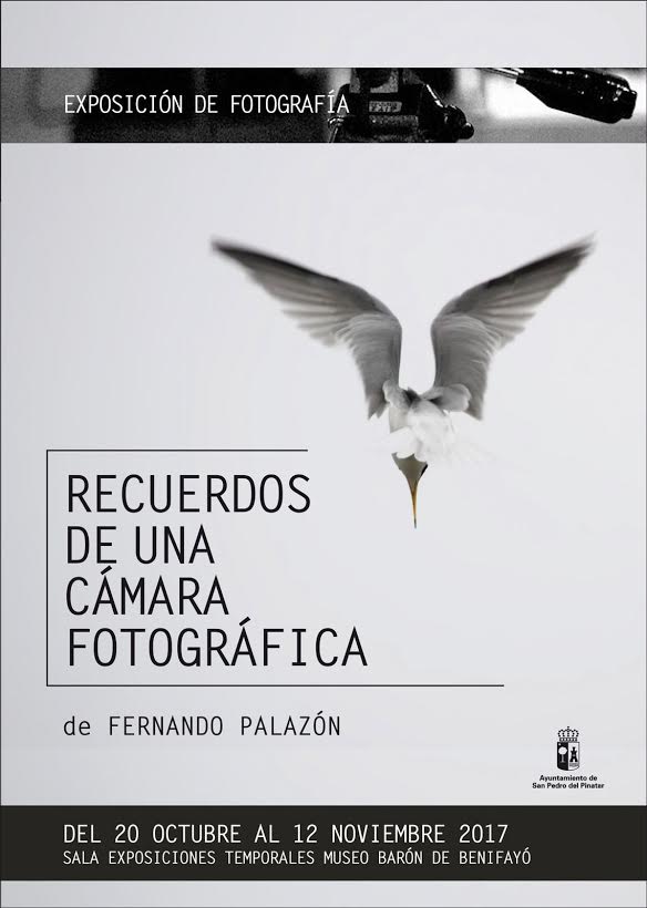 Exposición de fotos sobre aves, con el Ayto. de San Pedro del Pinatar