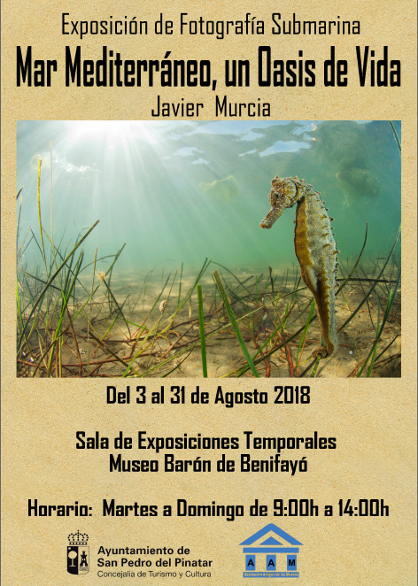 Expo 'Mar Mediterráneo, un oasis de vida' de Javier Murcia. Expo 'Mar Mediterráneo, un oasis de vida' de Javier Murcia