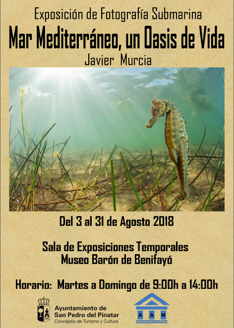 Expo 'Mar Mediterráneo, un oasis de vida' de Javier Murcia