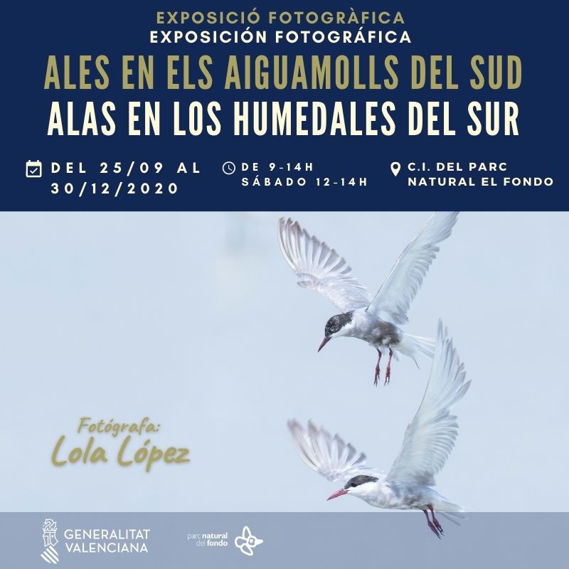 Expo 'Alas en los humedales del sur', con El Hondo
