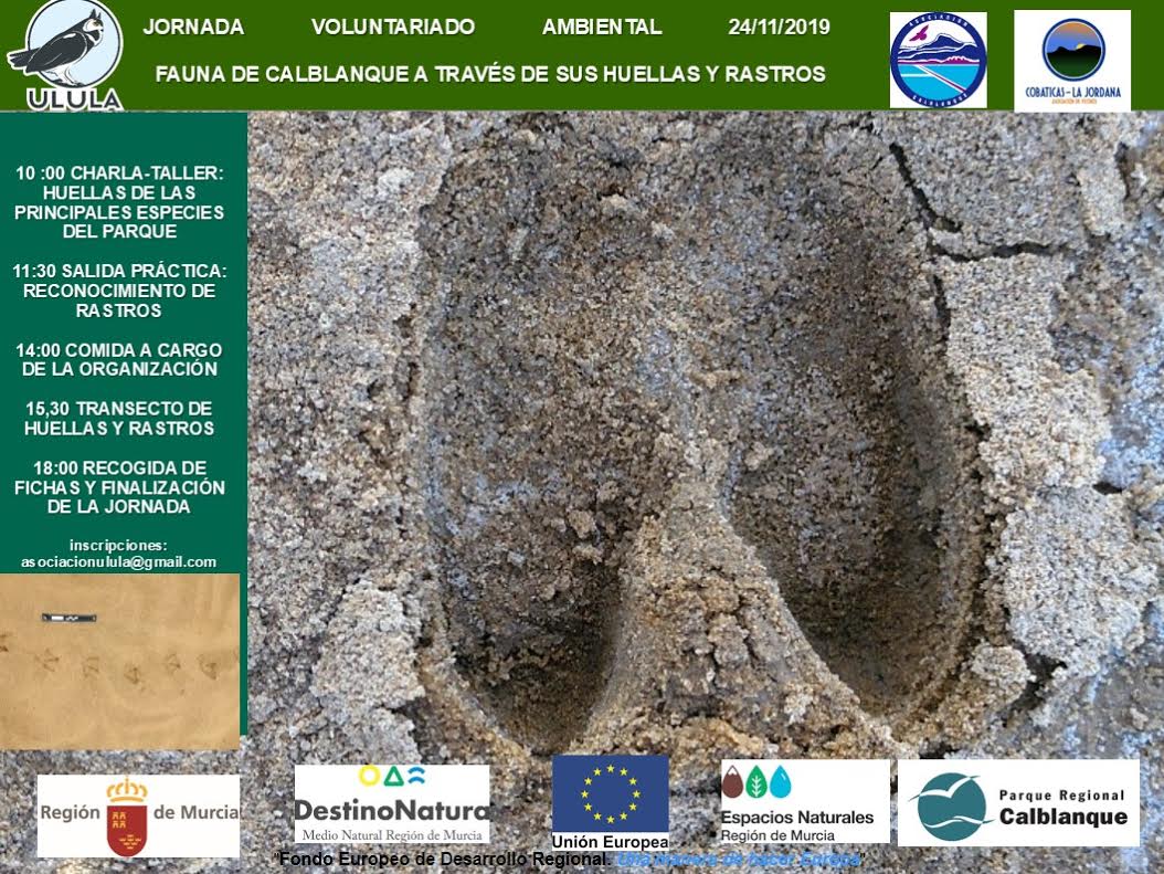 Fauna de Calblanque a través de sus huellas y rastros, con Asoc. Ulula. Fauna de Calblanque a través de sus huellas y rastros, con Asoc. Ulula