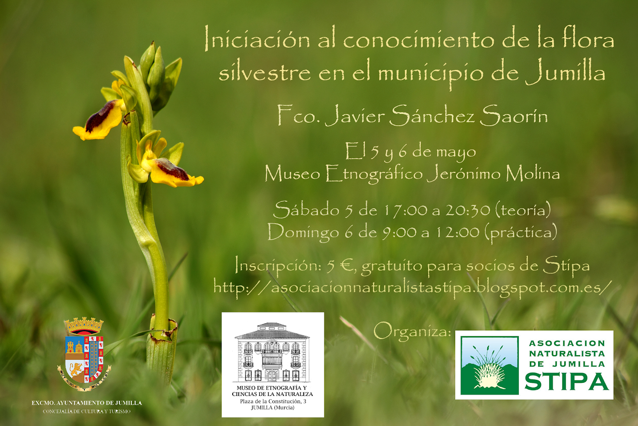 Iniciación a la flora de Jumilla, con Stipa. Iniciación a la flora de Jumilla, con Stipa