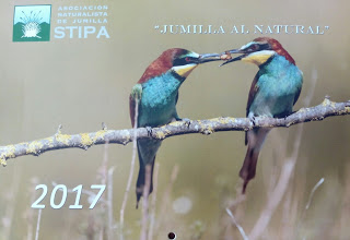Concurso de fotos de naturaleza de Jumilla, con Stipa
