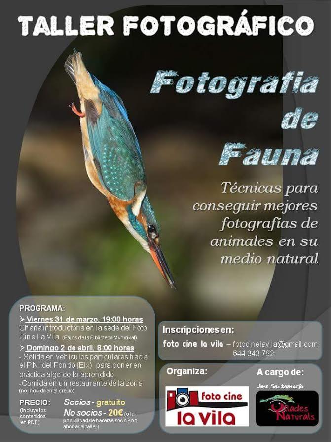 Taller de fotografía de fauna, con Foto Cine La Vila. Taller de fotografía de fauna, con Foto Cine La Vila