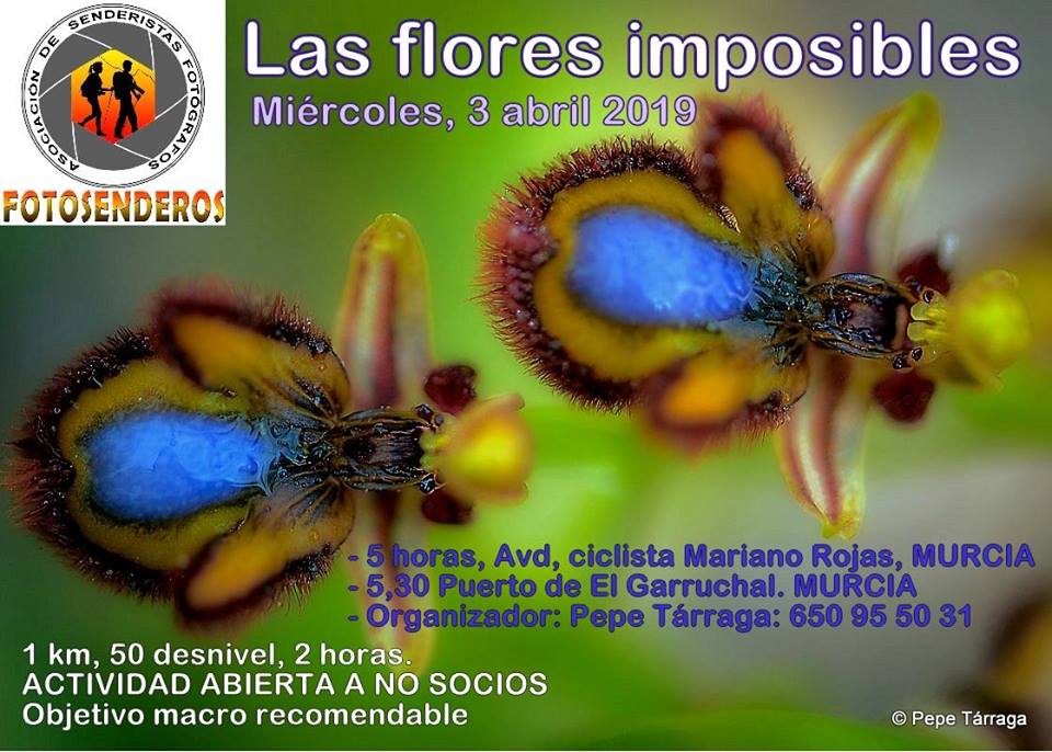 Ruta Fotosenderos: Las Flores Imposibles. Ruta Fotosenderos: Las Flores Imposibles