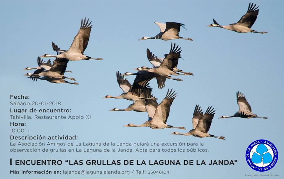 I Encuentro "Las Grullas de la Laguna de la Janda", con Asociación de Amigos de la Laguna de la Janda