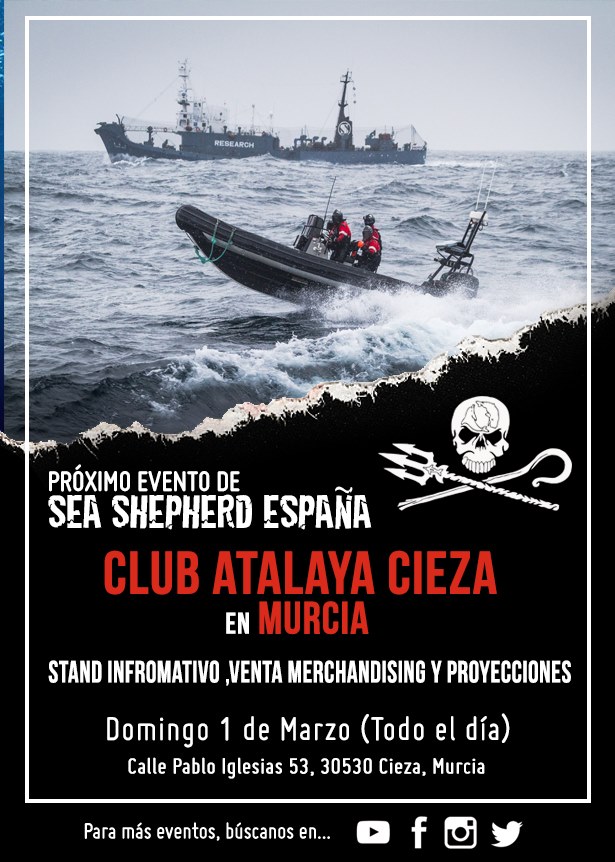 Stand informativo sobre Sea Shepherd España