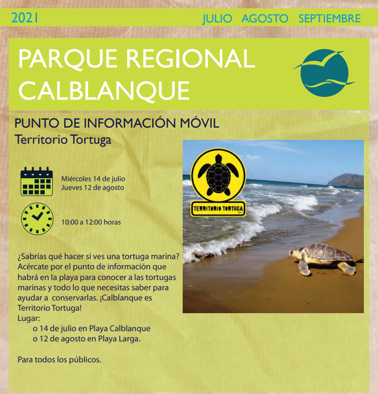 Información sobre tortugas marinas en Calblanque 1