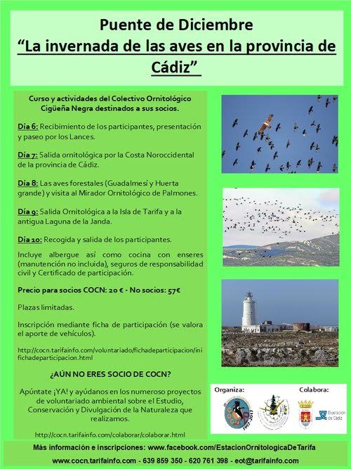 Invernada de aves en Cádiz, con COCN. Invernada de aves en Cádiz, con COCN