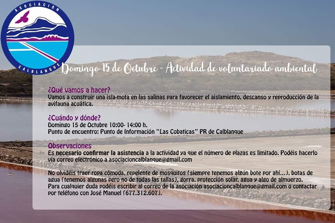 Construcción de una isla-mota para aves, con Asociación Calblanque. Construcción de una isla-mota para aves, con Asociación Calblanque