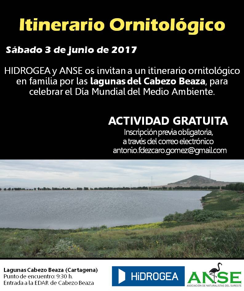 Itinerario Ornitológico en familia, con Hidrogea