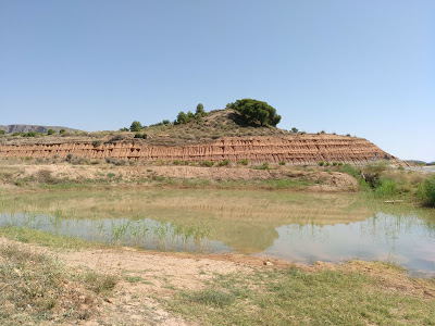 IX Ruta Feria y Fiestas 2018 "Celia-Casa Castillo', con STIPA