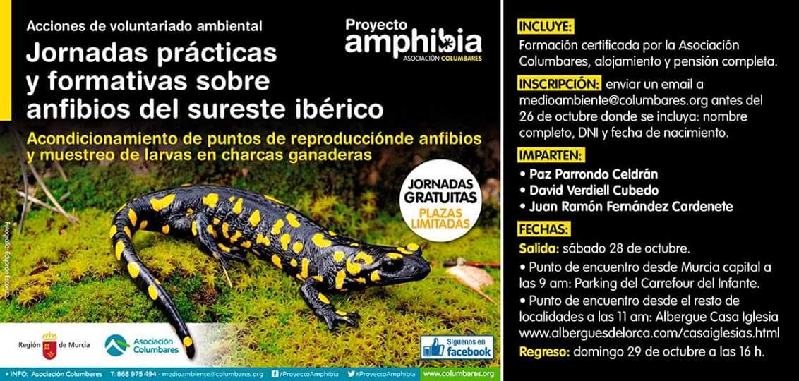 Jornadas de voluntariado para la conservación de anfibios, con la Asociación Columbares