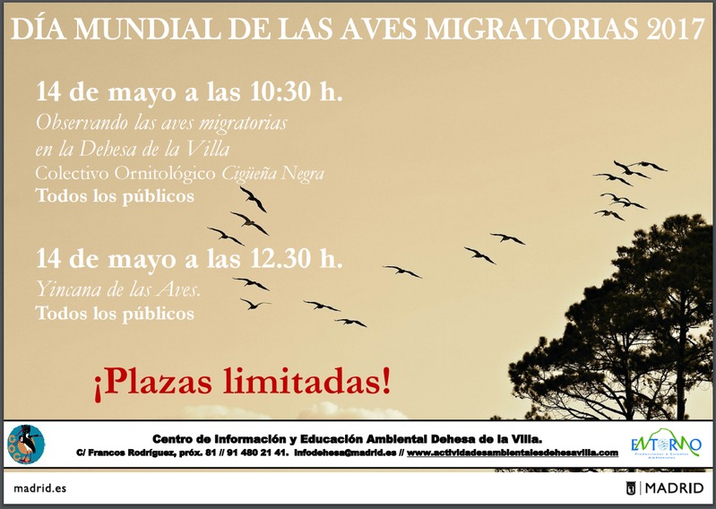 Jornada de migración de las aves en Madrid, con COCN