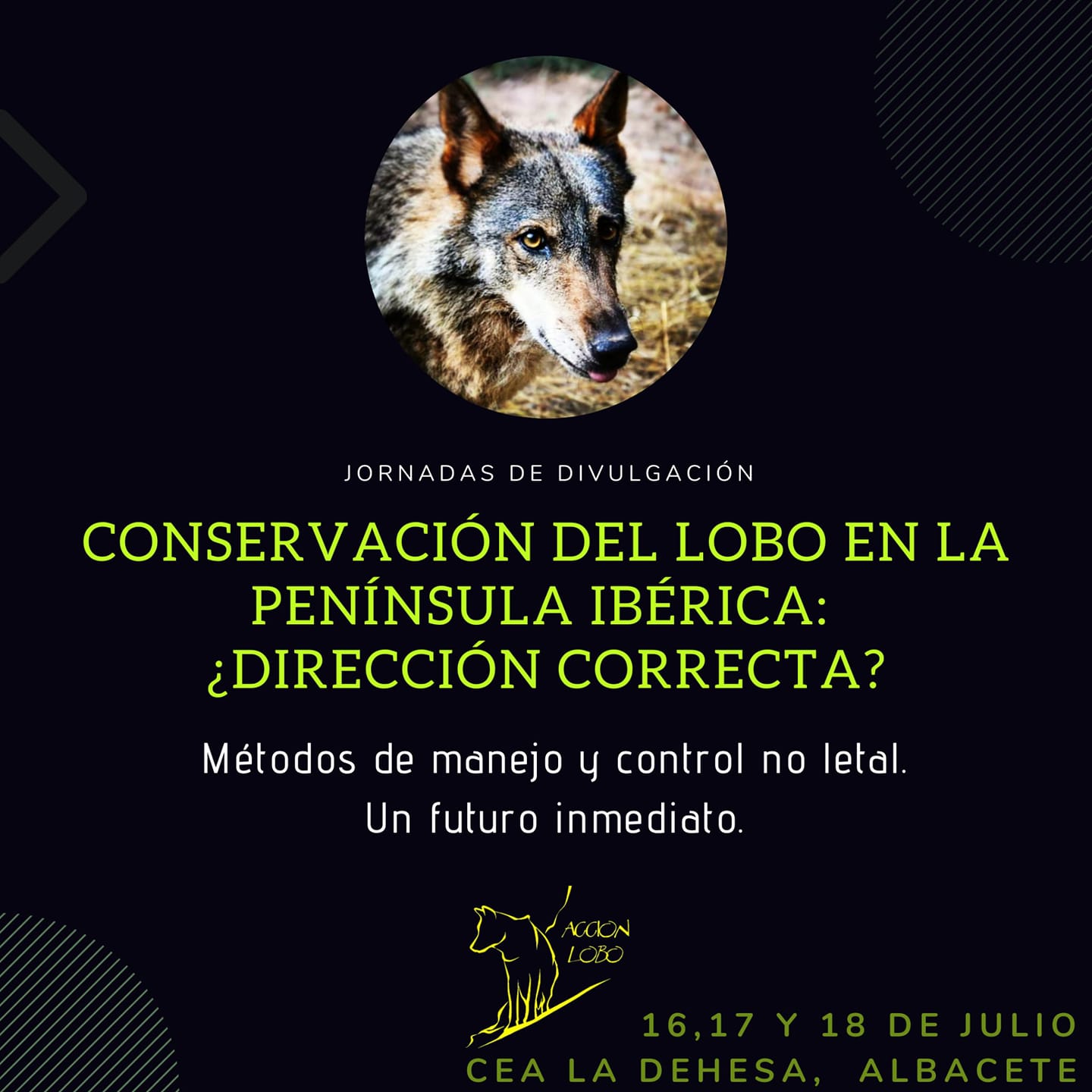 Jornadas sobre la conservación del lobo en la Península, con Acción Lobo