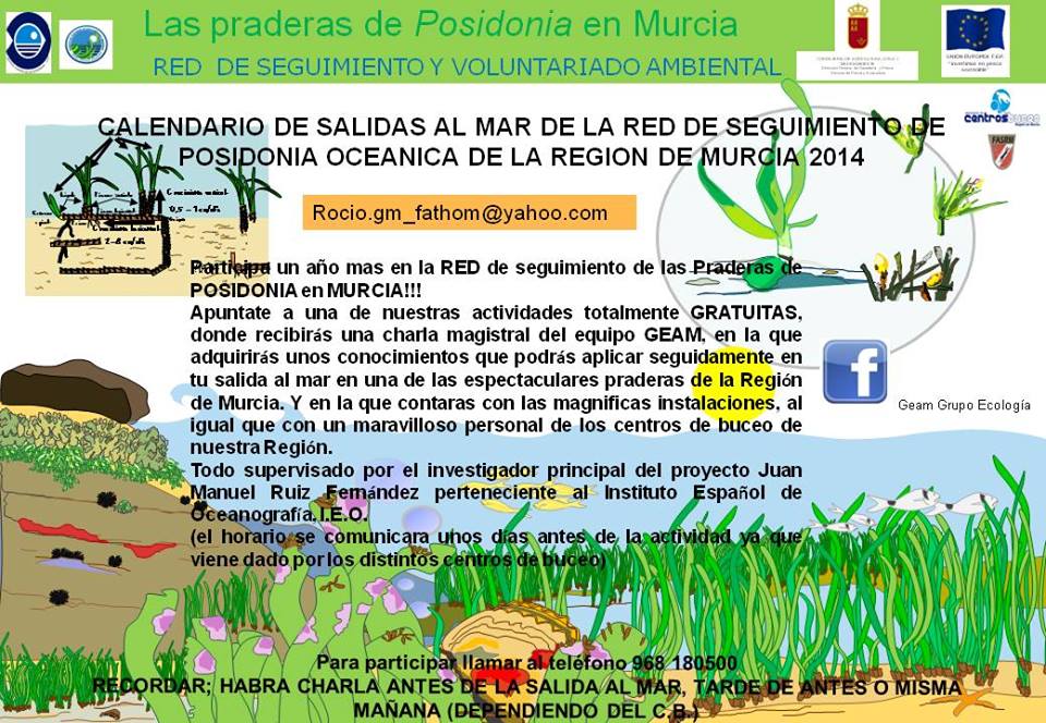 Red de Seguimiento de Posiconia oceanica, info 
