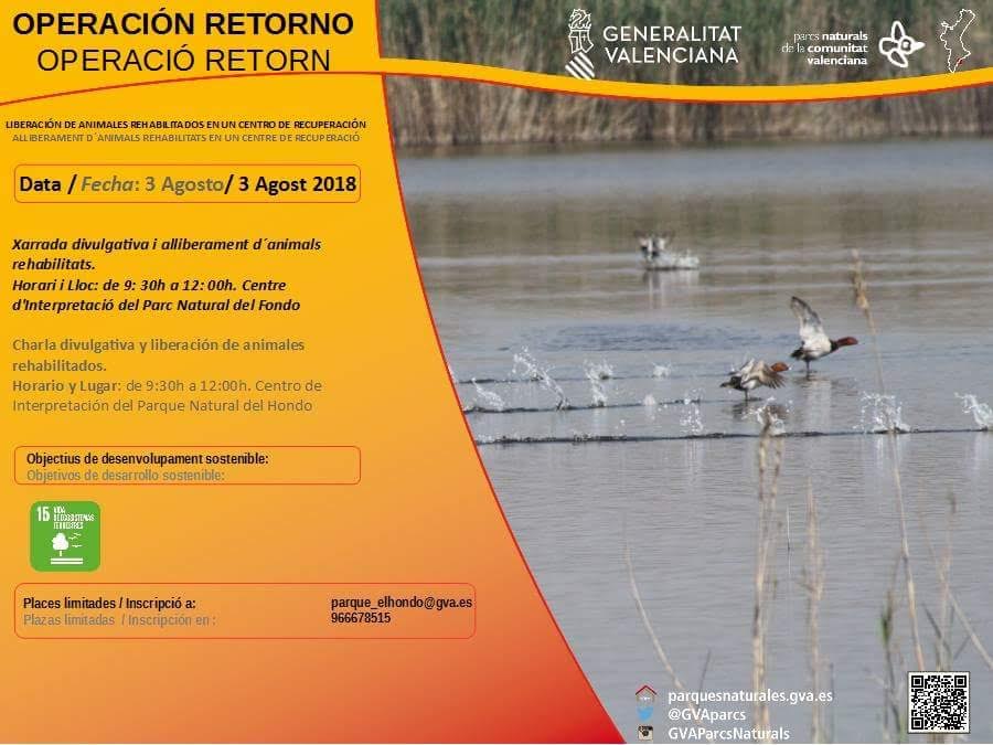 Liberación de animales recuperados, con la Generalitat Valenciana